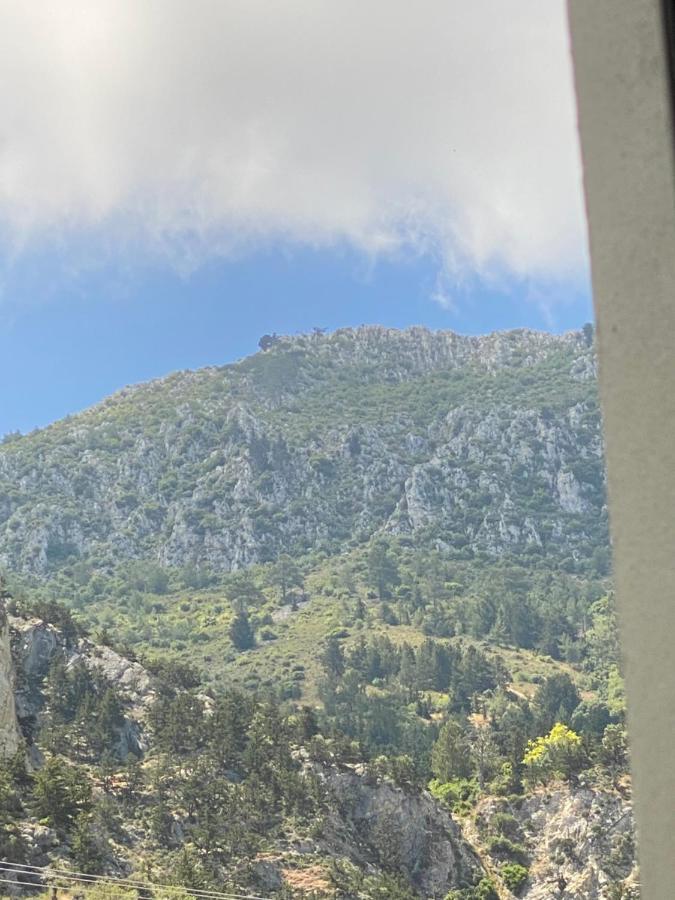 Chardonnay Guest Studio Rooms With Great View For Nature Lovers Kyrenia  Esterno foto