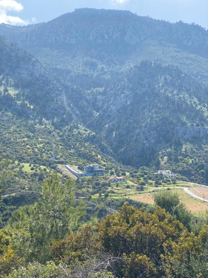 Chardonnay Guest Studio Rooms With Great View For Nature Lovers Kyrenia  Esterno foto